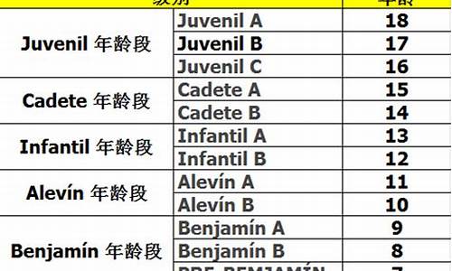西班牙梯队联赛体系-西班牙联赛级别划分类别